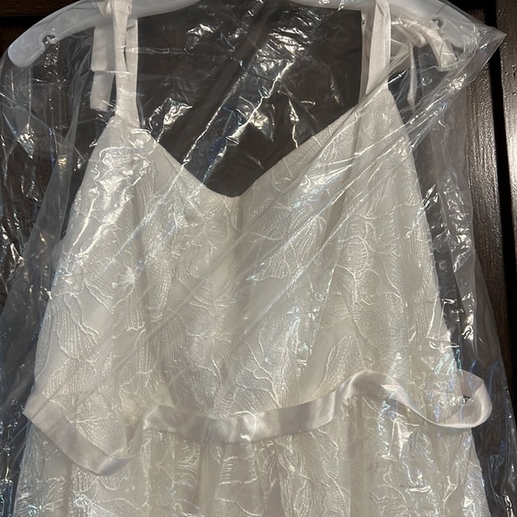 Floral lace midi plus dress with silk tie straps - Picture 7 of 8